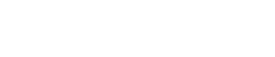 Andidol Logo