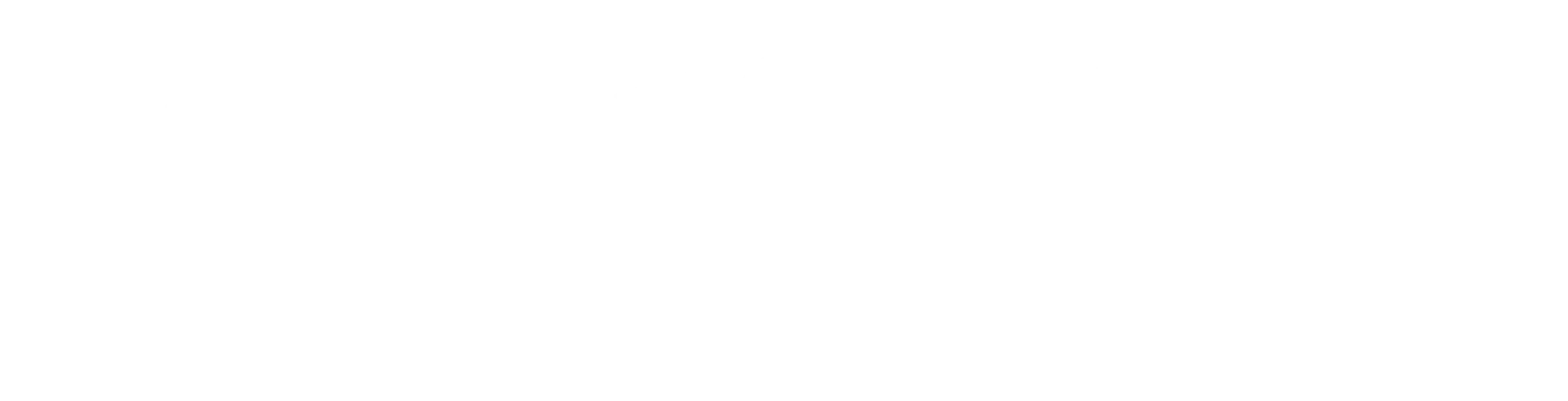 andiflex